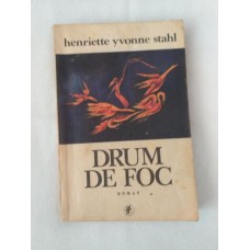 Henriette Yvonne Stahl - Drum de foc