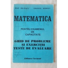 I. Pelteacu E. Badescu - Matematica pentru examenul de capacitate