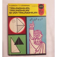 Florica T. Campan - Triunghiuri triunghiuri si iar triunghiuri